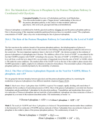 The Metabolism of Glucose 6Phosphate by the Pentose Phosphate Pathway Is Coordinated with Glycolysis