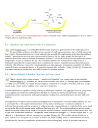 Vitamins Are Often Precursors to Coenzymes