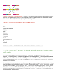 The Discovery of Catalytic RNA Was Revealing in Regard to Both Mechanism and Evolution