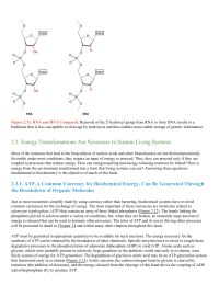 Energy Transformations Are Necessary to Sustain Living Systems