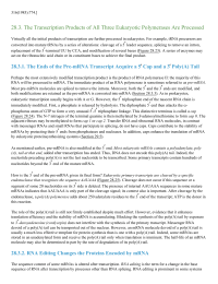 The Transcription Products of All Three Eukaryotic Polymerases Are Processed