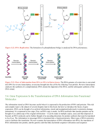 Gene Expression Is the Transformation of DNA Information Into Functional Molecules