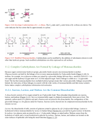 Complex Carbohydrates Are Formed by Linkage of Monosaccharides