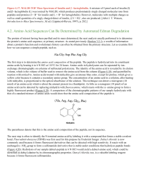 Amino Acid Sequences Can Be Determined by Automated Edman Degradation