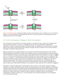 Cells Can Respond to Changes in Their Environments