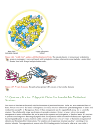 Quaternary Structure Polypeptide Chains Can Assemble Into Multisubunit Structures