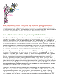 Antibodies Possess Distinct AntigenBinding and Effector Units