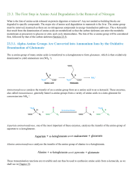 The First Step in Amino Acid Degradation Is the Removal of Nitrogen