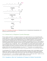 Calcium Ion Is a Ubiquitous Cytosolic Messenger