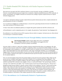 DoubleStranded DNA Molecules with Similar Sequences Sometimes Recombine