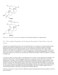 The Complex Regulation of Cholesterol Biosynthesis Takes Place at Several Levels