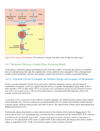 Metabolic Pathways Contain Many Recurring Motifs