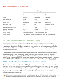 DNA Polymerases Require a Template and a Primer