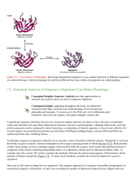 Statistical Analysis of Sequence Alignments Can Detect Homology