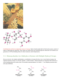 Monosaccharides Are Aldehydes or Ketones with Multiple Hydroxyl Groups