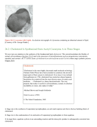 Cholesterol Is Synthesized from Acetyl Coenzyme A in Three Stages