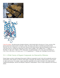 A Wide Variety of Organic Compounds Are Detected by Olfaction