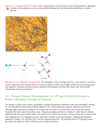 Nitrogen Fixation Microorganisms Use ATP and a Powerful Reductant to Reduce Atmospheric Nitrogen to Ammonia