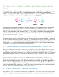 Prokaryotic DNABinding Proteins Bind Specifically to Regulatory Sites in Operons