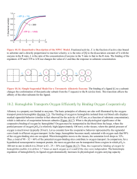 Hemoglobin Transports Oxygen Efficiently by Binding Oxygen Cooperatively