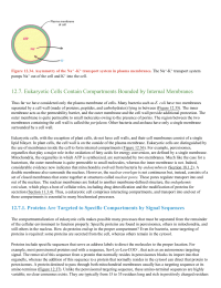 Eukaryotic Cells Contain Compartments Bounded by Internal Membranes