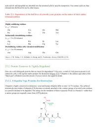 Protein Turnover Is Tightly Regulated