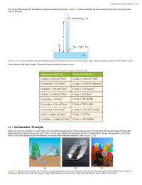 Archimedes Principle