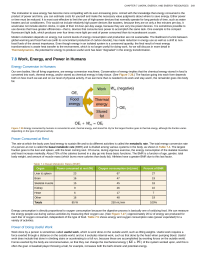 Work Energy and Power in Humans