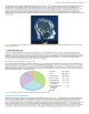 World Energy Use