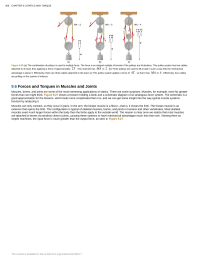 Forces and Torques in Muscles and Joints