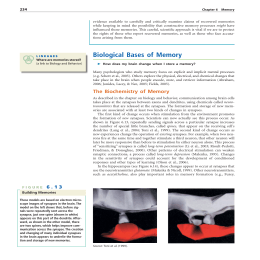 The Biochemistry of Memory