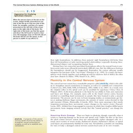 Plasticity in the Central Nervous System