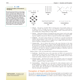Perception of Depth and Distance