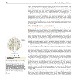 The Divided Brain Lateralization