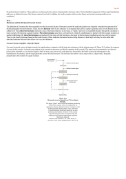 Hormones and the Hormonal Cascade System