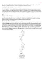 Protein Maturation Modification Secretion and Targeting