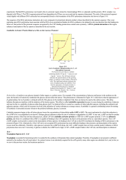 Tryptophan Operon of E Coli