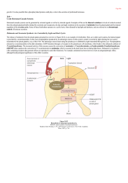 Cyclic Hormonal Cascade Systems