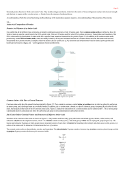 Amino Acid Composition of Proteins