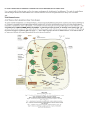 Steroid Hormone Receptors