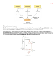 Sources and Fates of Acetyl Coenzyme A