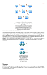 Enzyme Specificity The Active Site