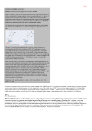 DNA Recombination