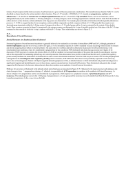 Biosynthesis of Steroid Hormones