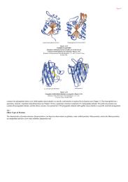 Other Types of Proteins