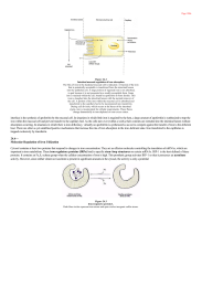 Molecular Regulation of Iron Utilization