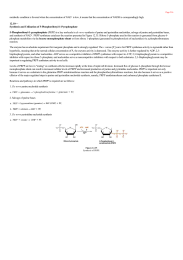 Synthesis and Utilization of 5Phosphoribosyl1Pyrophosphate