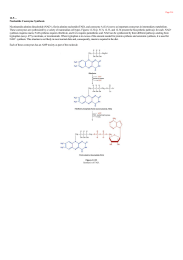 Nucleotide Coenzyme Synthesis