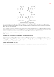 Other Hemoprotein and FlavoproteinMediated Oxygenations The Nitric Oxide Synthases