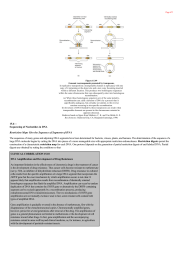 Sequencing of Nucleotides in DNA